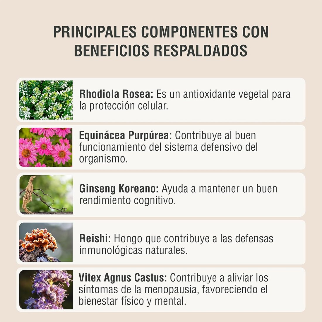 Infografía de componentes con beneficios respaldados